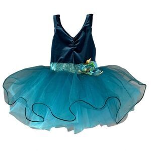 Girl’s Small blue Ballet Tutu Dress Dance Fairy Princess dress ~ Dress Up